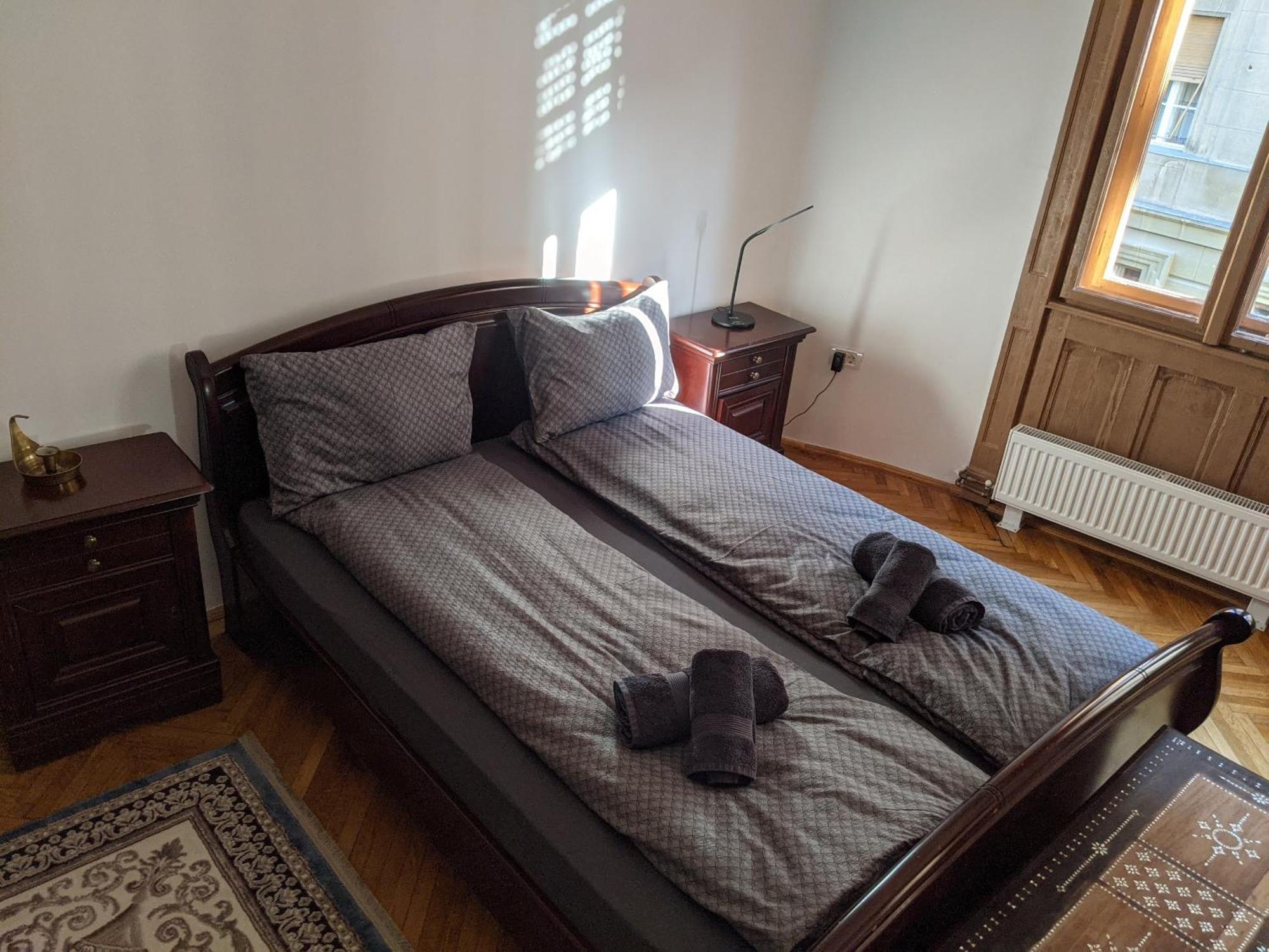 Ultra-Central Apartment In The Loffler Palace Timișoara Zewnętrze zdjęcie